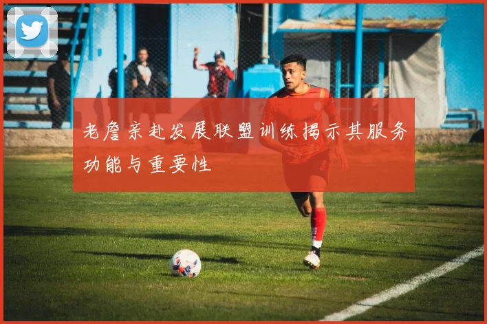 老詹亲赴发展联盟训练揭示其服务功能与重要性