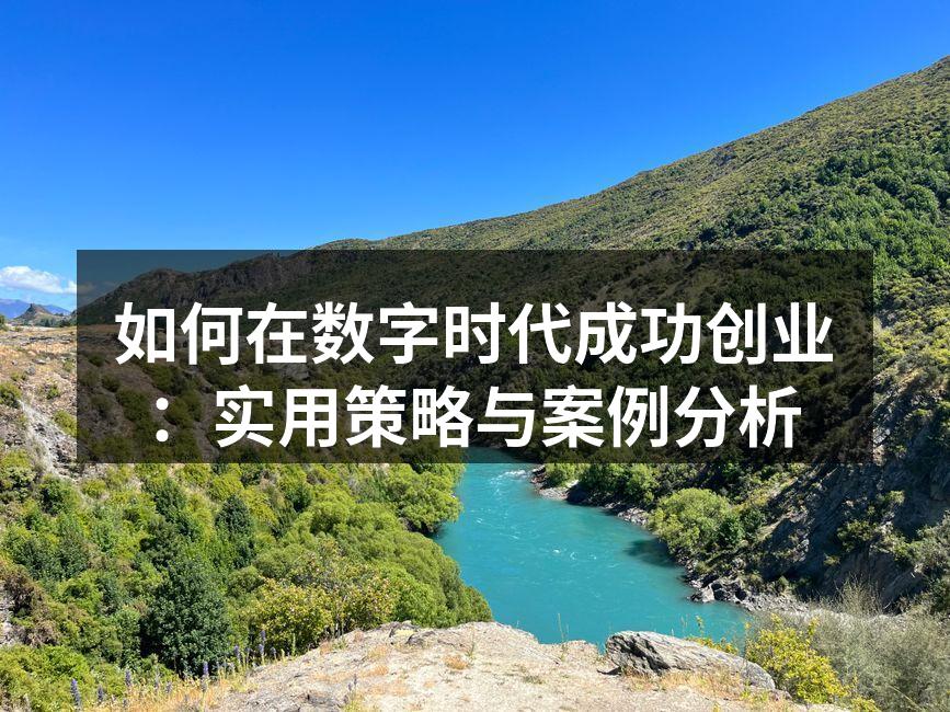 如何在数字时代成功创业：实用策略与案例分析