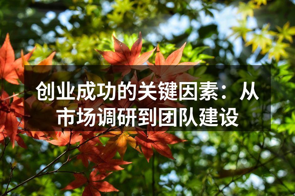 创业成功的关键因素：从市场调研到团队建设