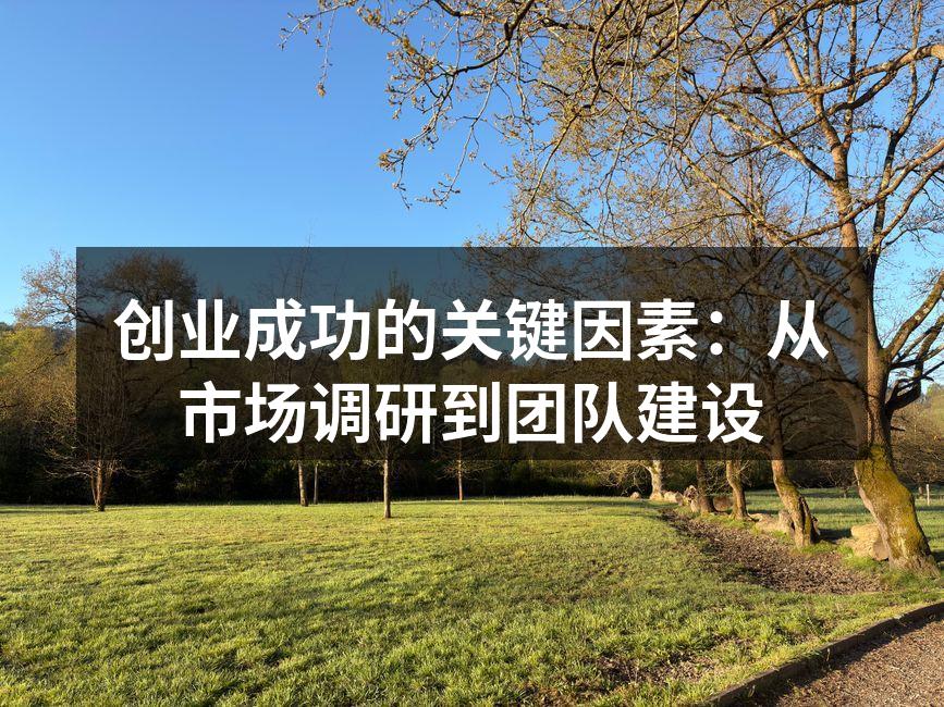 创业成功的关键因素：从市场调研到团队建设